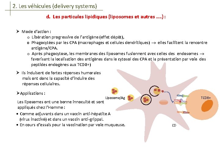 2. Les véhicules (delivery systems) d. Les particules lipidiques (liposomes et autres …. )