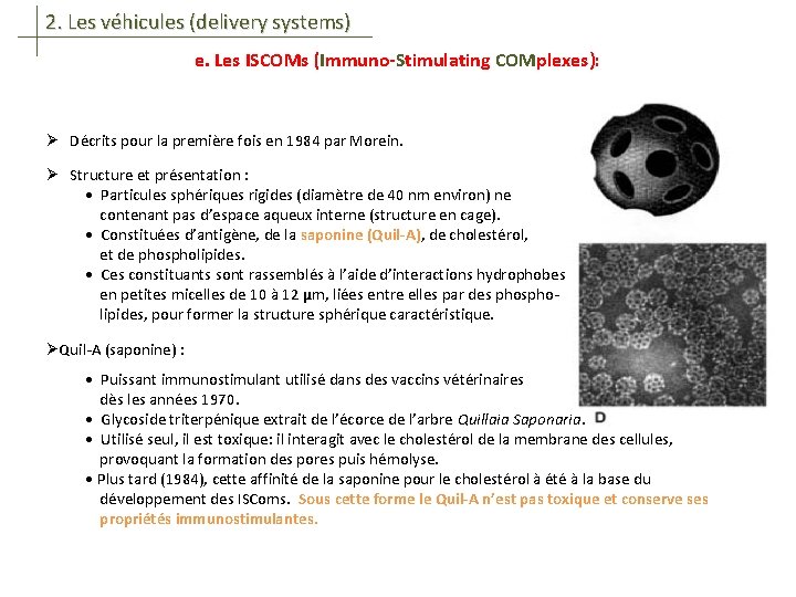 2. Les véhicules (delivery systems) e. Les ISCOMs (Immuno-Stimulating COMplexes): Ø Décrits pour la