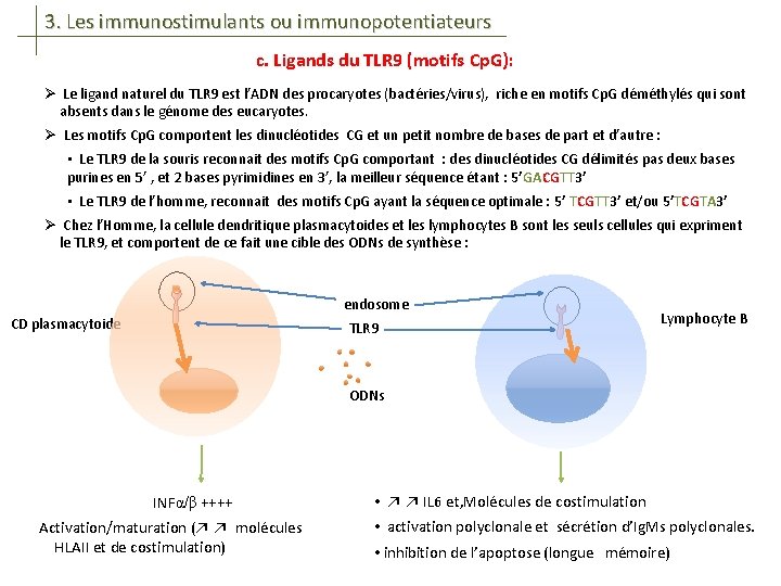 3. Les immunostimulants ou immunopotentiateurs c. Ligands du TLR 9 (motifs Cp. G): Ø