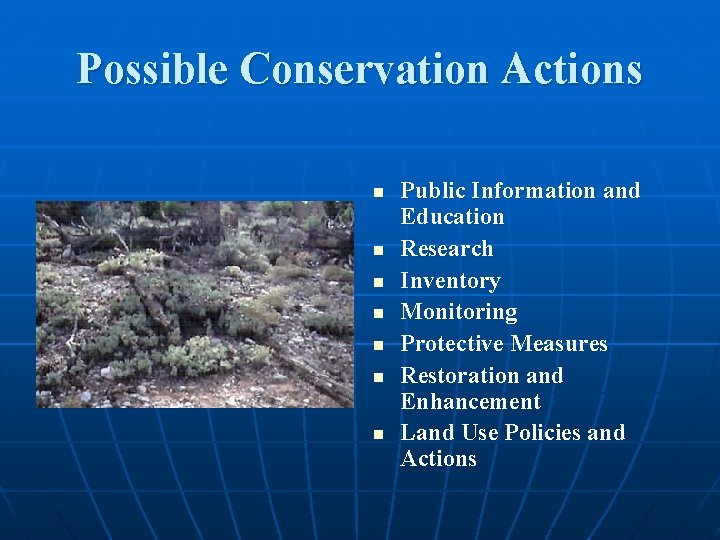 Possible Conservation Actions n n n n Public Information and Education Research Inventory Monitoring