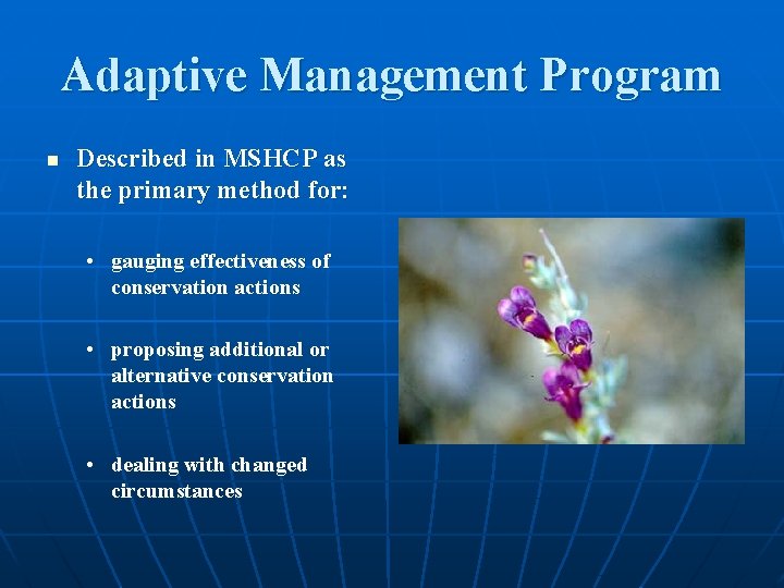 Adaptive Management Program n Described in MSHCP as the primary method for: • gauging