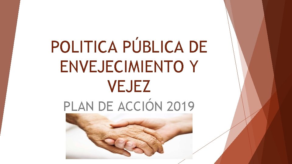 POLITICA PÚBLICA DE ENVEJECIMIENTO Y VEJEZ PLAN DE ACCIÓN 2019 