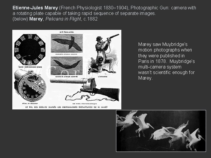 Etienne-Jules Marey (French Physiologist 1830– 1904), Photographic Gun: camera with a rotating plate capable