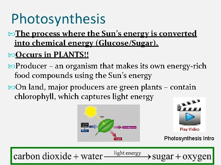 Photosynthesis The process where the Sun’s energy is converted into chemical energy (Glucose/Sugar). Occurs