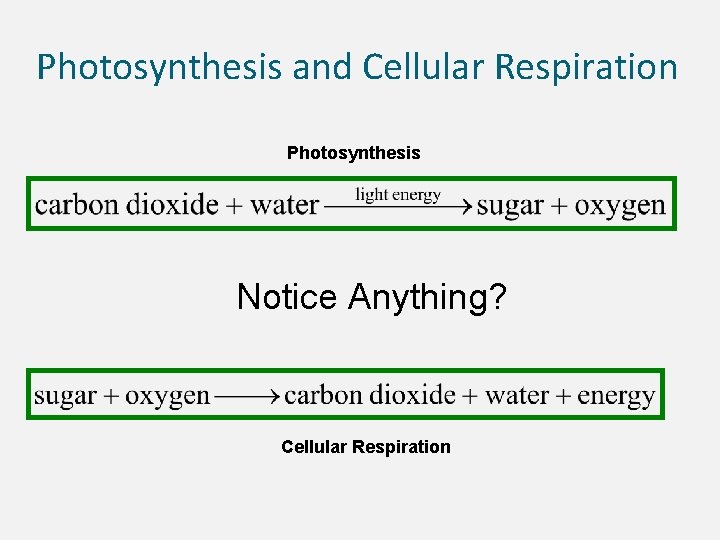 Photosynthesis and Cellular Respiration Photosynthesis Notice Anything? Cellular Respiration 