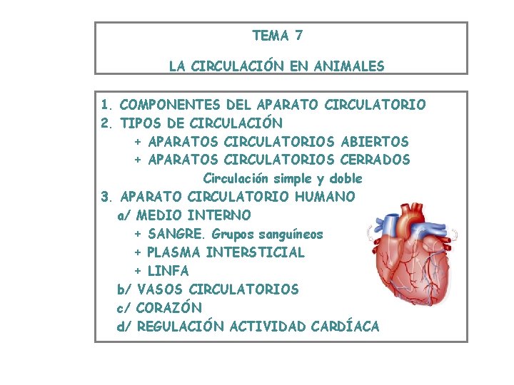 TEMA 7 LA CIRCULACIÓN EN ANIMALES 1. COMPONENTES DEL APARATO CIRCULATORIO 2. TIPOS DE