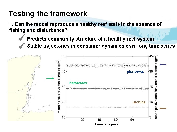 Testing the framework 1. Can the model reproduce a healthy reef state in the