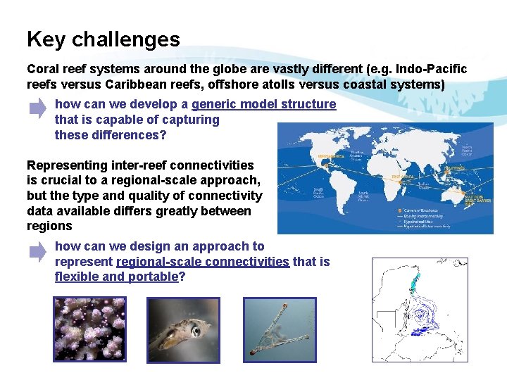 Key challenges Coral reef systems around the globe are vastly different (e. g. Indo-Pacific