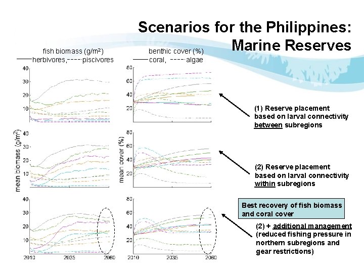fish biomass (g/m 2) herbivores, piscivores Scenarios for the Philippines: Marine Reserves benthic cover