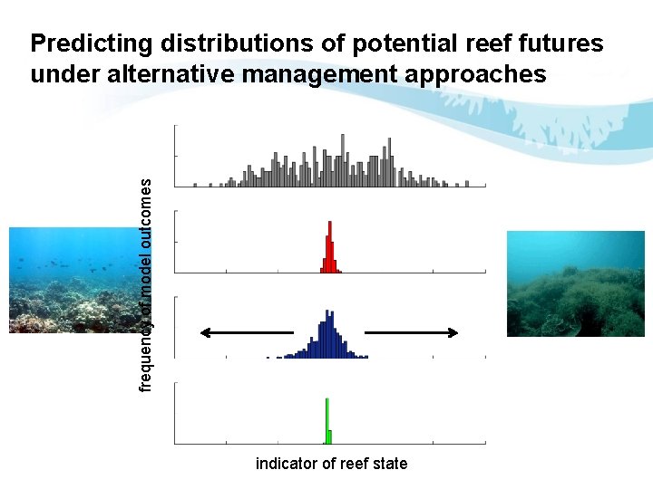 frequency of model outcomes Predicting distributions of potential reef futures under alternative management approaches