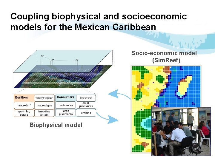 Coupling biophysical and socioeconomic models for the Mexican Caribbean Socio-economic model (Sim. Reef) lobsters