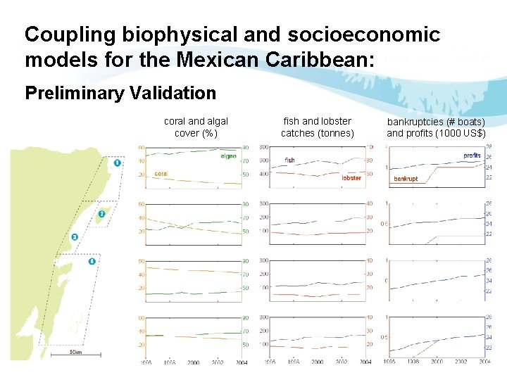 Coupling biophysical and socioeconomic models for the Mexican Caribbean: Preliminary Validation coral and algal