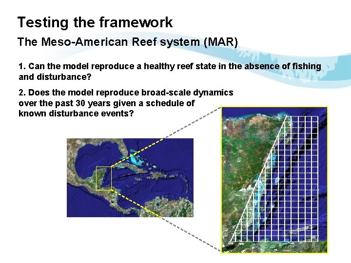 Testing the framework The Meso-American Reef system (MAR) 1. Can the model reproduce a