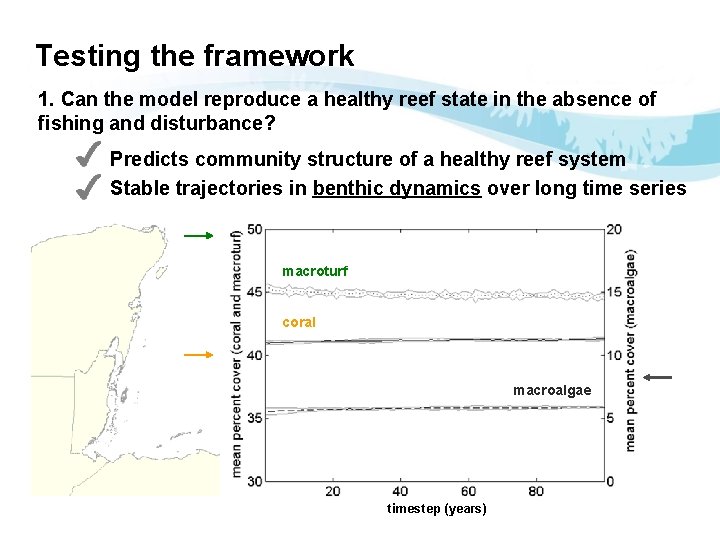 Testing the framework 1. Can the model reproduce a healthy reef state in the