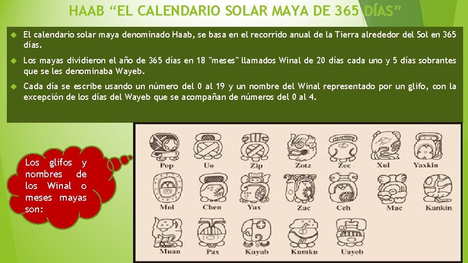 HAAB “EL CALENDARIO SOLAR MAYA DE 365 DÍAS” El calendario solar maya denominado Haab,