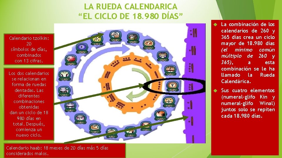 LA RUEDA CALENDARICA “EL CICLO DE 18. 980 DÍAS” La combinación de los calendarios