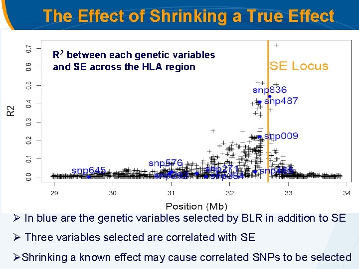 The Effect of Shrinking a True Effect R 2 between each genetic variables and