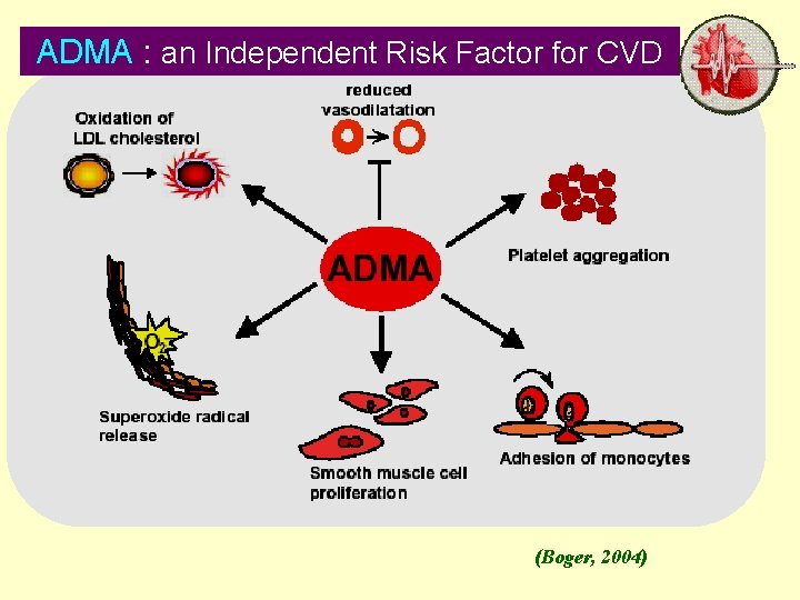 ADMA : an Independent Risk Factor for CVD 31 October 2021 Dr. Mohamed Z.