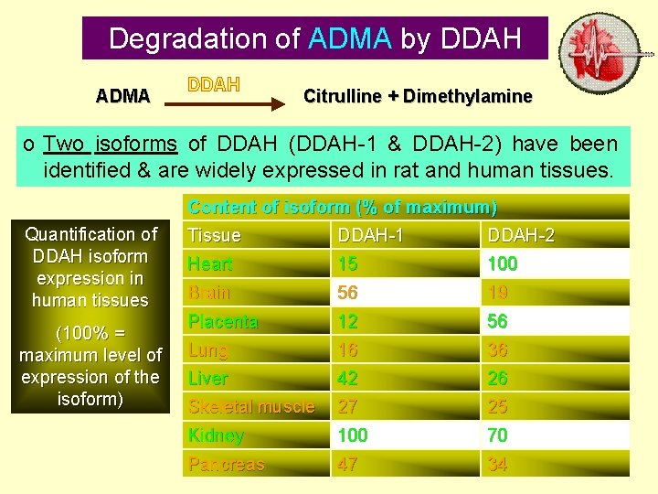 Degradation of ADMA by DDAH ADMA DDAH Citrulline + Dimethylamine o Two isoforms of