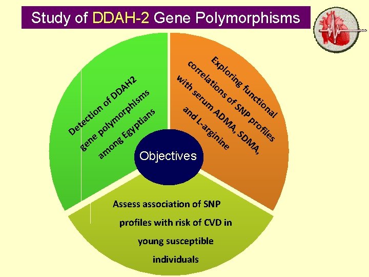 Study of DDAH-2 Gene Polymorphisms co o cti D f no H 2 DA