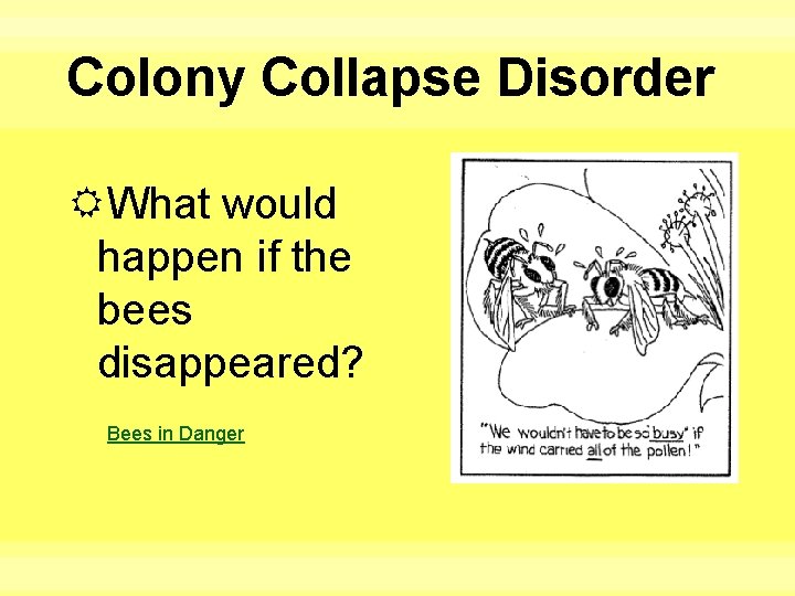 Colony Collapse Disorder What would happen if the bees disappeared? Bees in Danger 