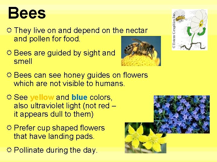 Bees They live on and depend on the nectar and pollen for food. Bees