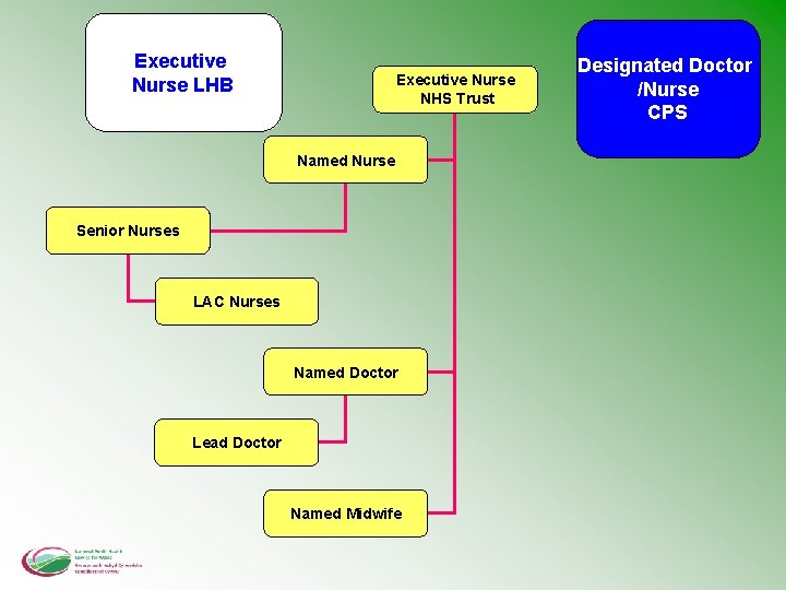 Executive Nurse LHB Executive Nurse NHS Trust Named Nurse Senior Nurses LAC Nurses Named