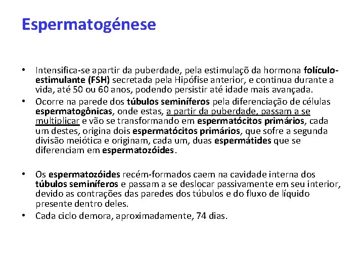 Espermatogénese • Intensifica-se apartir da puberdade, pela estimulaçõ da hormona folículoestimulante (FSH) secretada pela