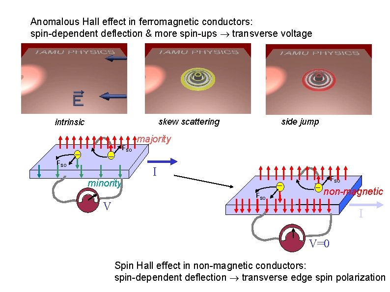 Anomalous Hall effect in ferromagnetic conductors: spin-dependent deflection & more spin-ups transverse voltage skew