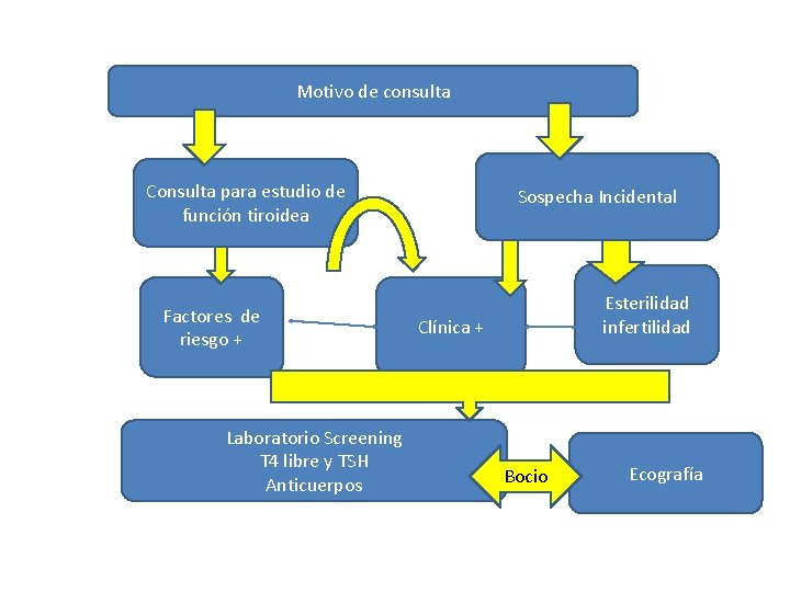 Motivo de consulta Consulta para estudio de función tiroidea Factores de riesgo + Laboratorio