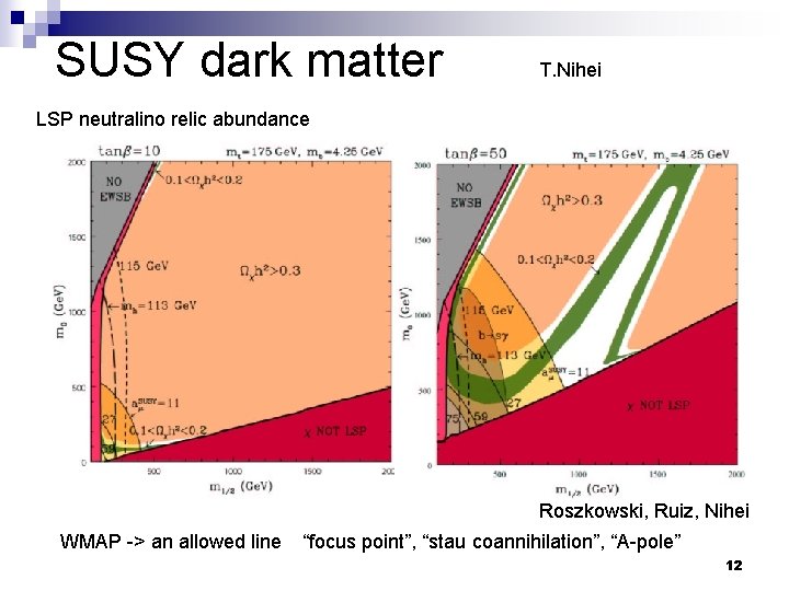 SUSY dark matter T. Nihei LSP neutralino relic abundance Roszkowski, Ruiz, Nihei WMAP ->