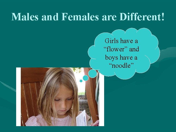 Males and Females are Different! Girls have a “flower” and boys have a “noodle”