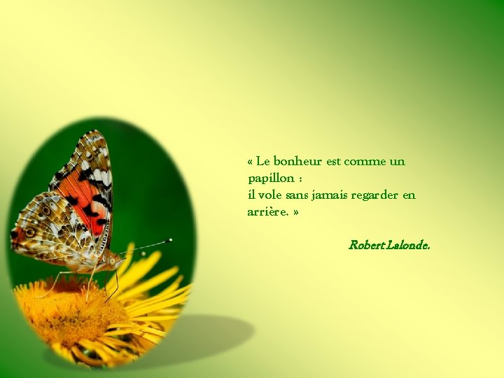  « Le bonheur est comme un papillon : il vole sans jamais regarder