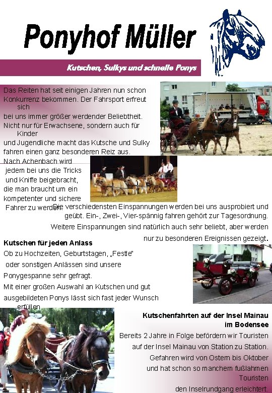 Kutschen, Sulkys und schnelle Ponys Das Reiten hat seit einigen Jahren nun schon Konkurrenz