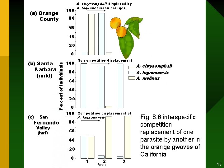 (a) Orange County 100 A. chrysomphali displaced by A. lagnanensis on oranges 80 60