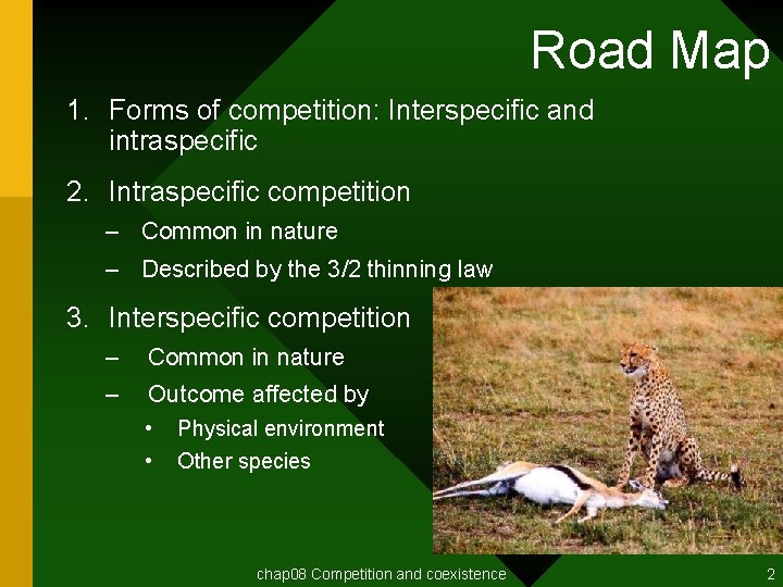 Road Map 1. Forms of competition: Interspecific and intraspecific 2. Intraspecific competition – Common