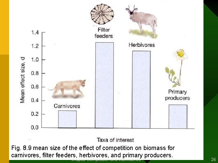 Fig. 8. 9 mean size of the effect of competition on biomass for carnivores,