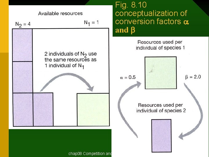 Fig. 8. 10 conceptualization of conversion factors a and b chap 08 Competition and