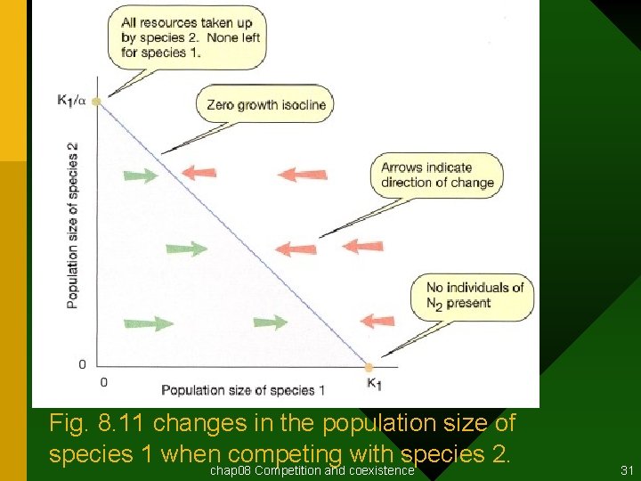 Fig. 8. 11 changes in the population size of species 1 whenchap 08 competing