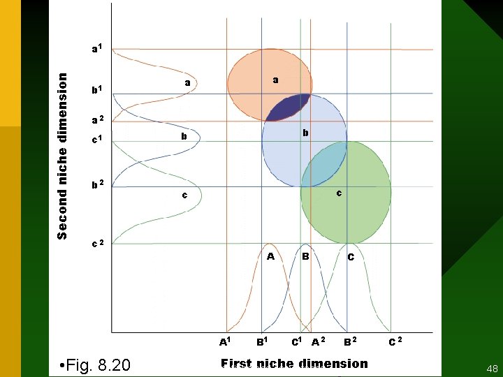 Second niche dimension a 1 b 1 a a a 2 c 1 b