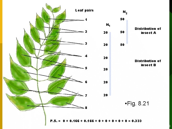 Leaf pairs N 2 50 1 N 1 2 20 50 3 20 50