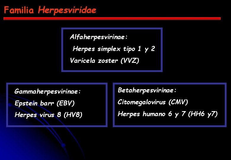 Familia Herpesviridae Alfaherpesvirinae: Herpes simplex tipo 1 y 2 Varicela zoster (VVZ) Gammaherpesvirinae: Betaherpesvirinae:
