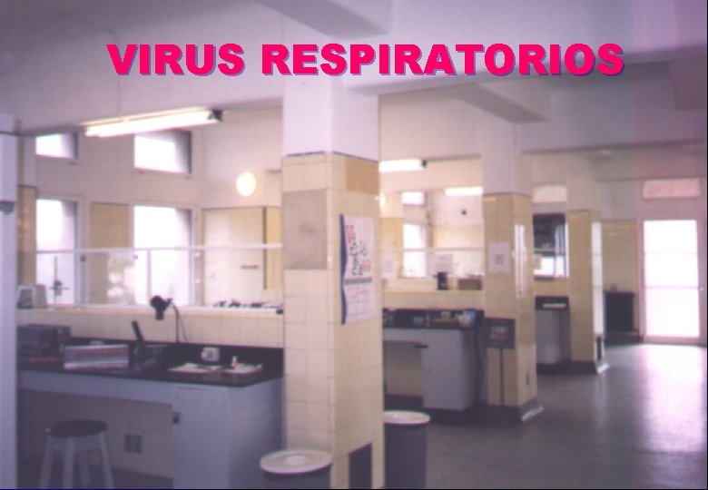 VIRUS RESPIRATORIOS 