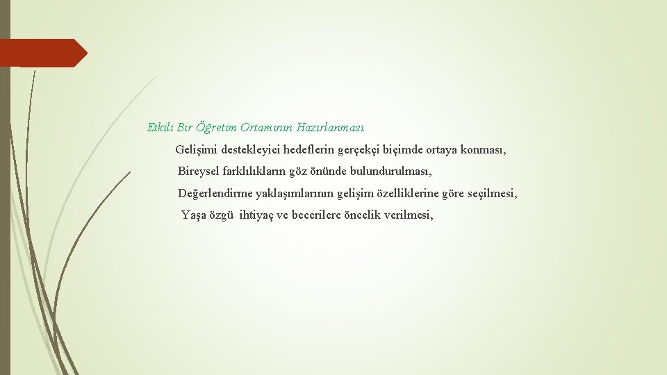 Etkili Bir Öğretim Ortamının Hazırlanması Gelişimi destekleyici hedeflerin gerçekçi biçimde ortaya konması, Bireysel farklılıkların