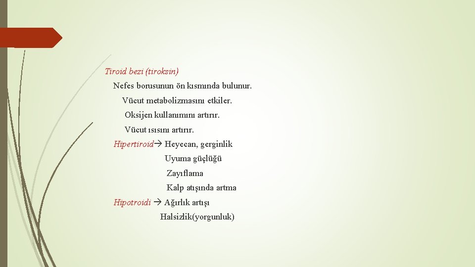 Tiroid bezi (tiroksin) Nefes borusunun ön kısmında bulunur. Vücut metabolizmasını etkiler. Oksijen kullanımını artırır.