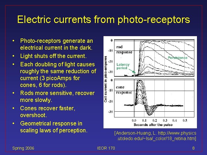 Electric currents from photo-receptors • Photo-receptors generate an electrical current in the dark. •