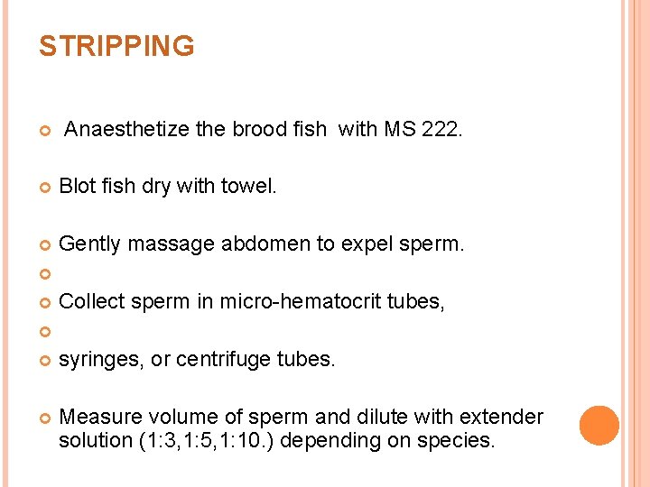 STRIPPING Anaesthetize the brood fish with MS 222. Blot fish dry with towel. Gently