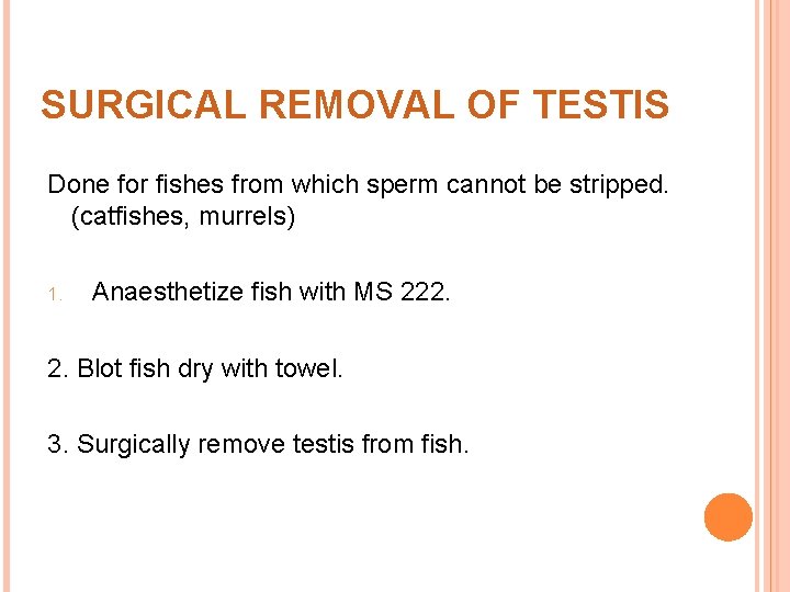 SURGICAL REMOVAL OF TESTIS Done for fishes from which sperm cannot be stripped. (catfishes,