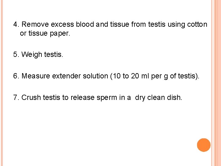 4. Remove excess blood and tissue from testis using cotton or tissue paper. 5.