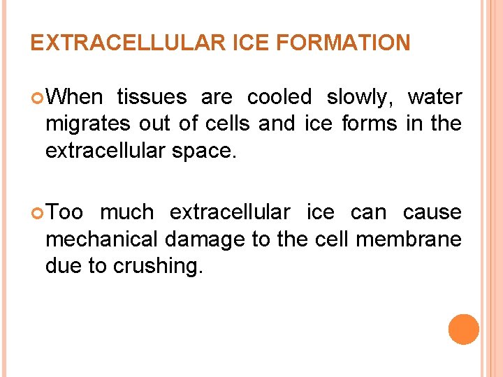 EXTRACELLULAR ICE FORMATION When tissues are cooled slowly, water migrates out of cells and